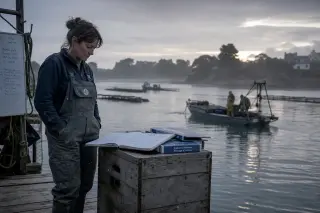 Woman in overalls examining manuals on an oyster farm jetty at dawn, coastal Brittany in the background, soft natural light, focused expression, authentic maritime setting.